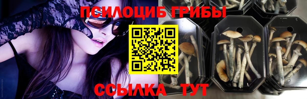 Галлюциногенные грибы GOLDEN TEACHER  Вход с VPN  Саяногорск 